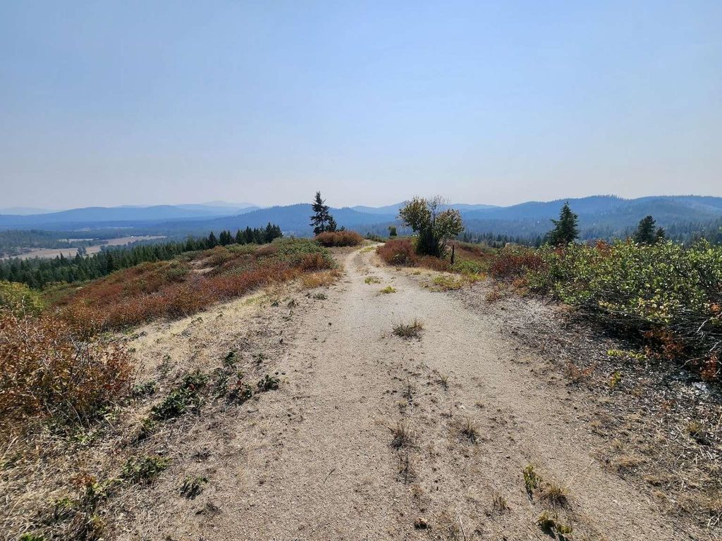 1700 Hershaw Rd, Newport, WA 99156 photo 4