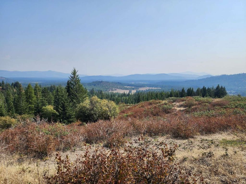 1700 Hershaw Rd, Newport, WA 99156 photo 41