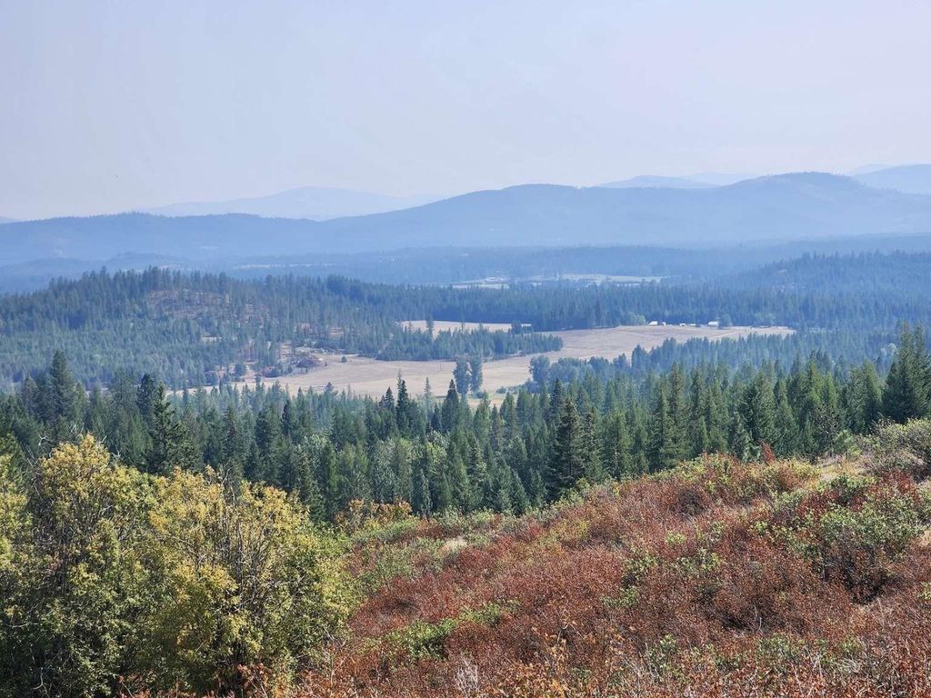 1700 Hershaw Rd, Newport, WA 99156 photo 42