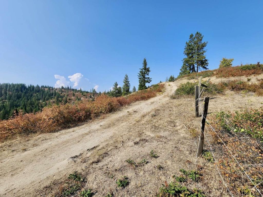 1700 Hershaw Rd, Newport, WA 99156 photo 43