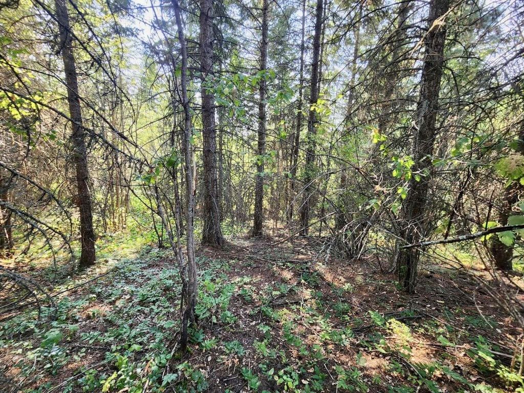 1700 Hershaw Rd, Newport, WA 99156 photo 44