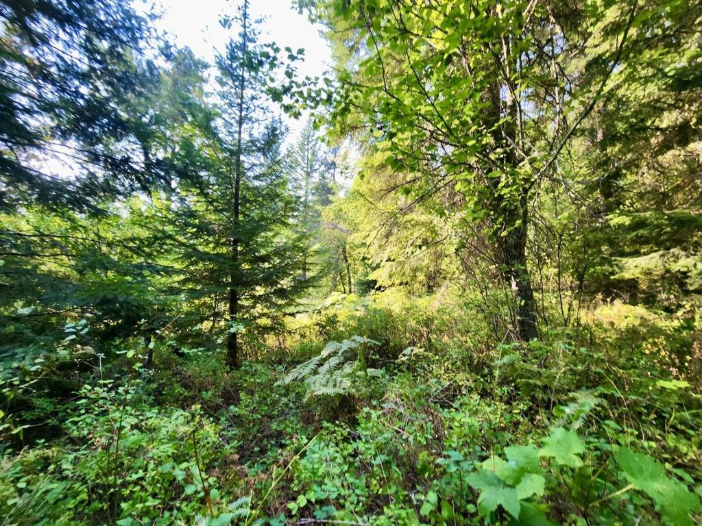 1700 Hershaw Rd, Newport, WA 99156 photo 46