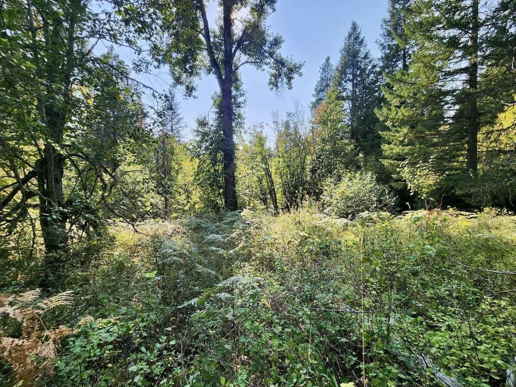 1700 Hershaw Rd, Newport, WA 99156 photo 47