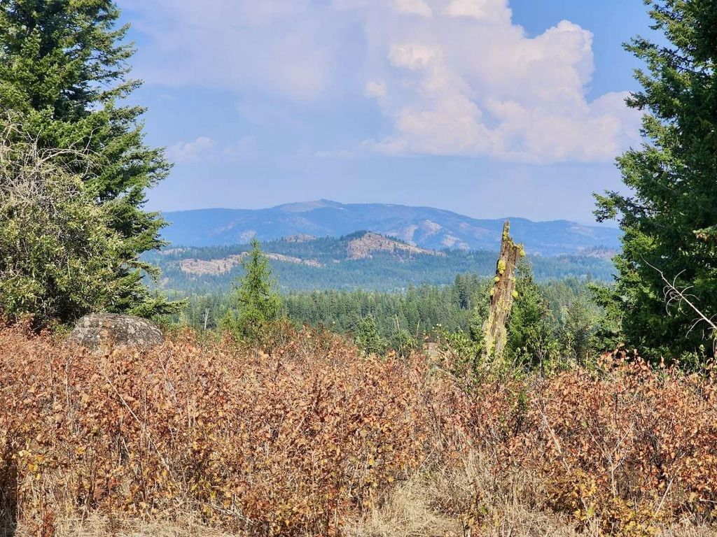 1700 Hershaw Rd, Newport, WA 99156 photo 48