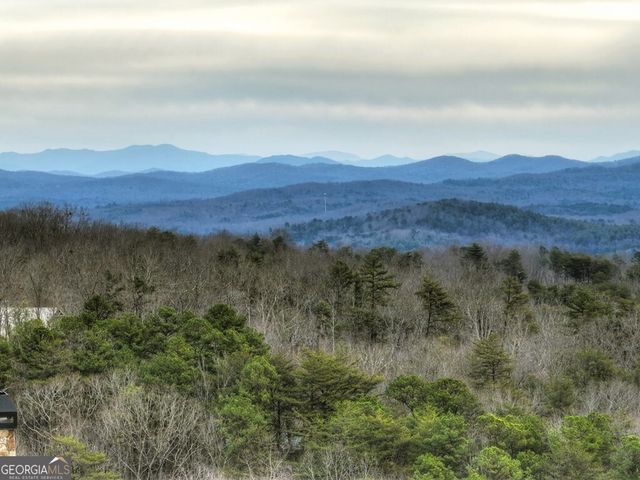 467 Deer Crest Road, Blue Ridge, GA 30513