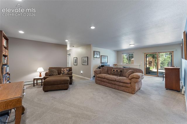 657 Spring Valley Drive, Divide, CO 80814