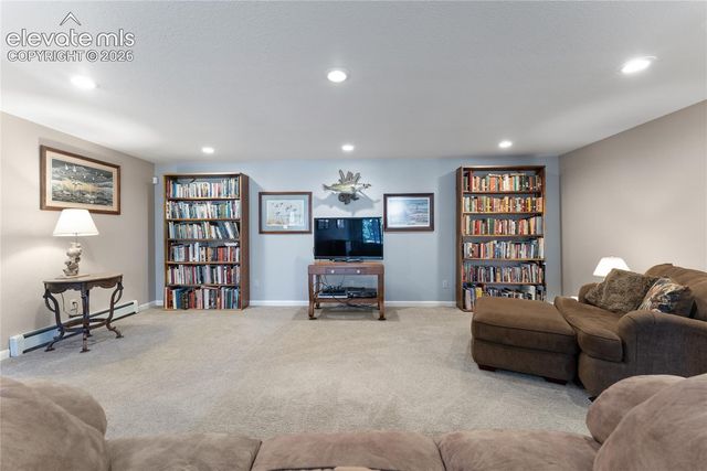 657 Spring Valley Drive, Divide, CO 80814