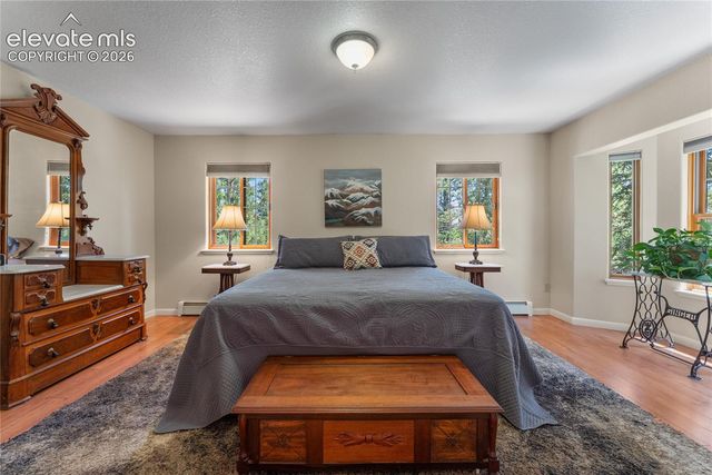657 Spring Valley Drive, Divide, CO 80814