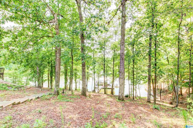 358 MUFFIT DRIVE, Wedowee, AL 36278