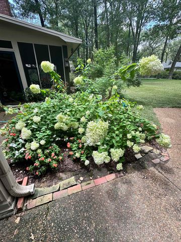 6400 HEATHER DR, Memphis, TN 38119