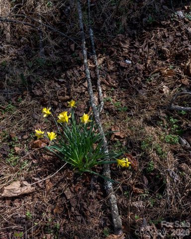 3100 Icenhour Place, Lenoir, NC 28645