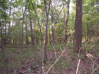 0 W Outer Road, Farmington, MO 63640