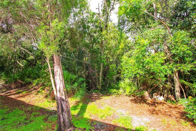 2722 CONCH HOLLOW DRIVE, Brandon, FL 33511