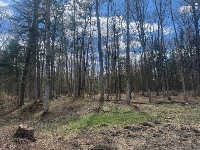 599 Collinsville Road, Craftsbury, VT 05826