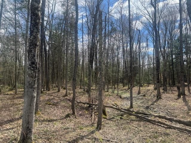 599 Collinsville Road, Craftsbury, VT 05826