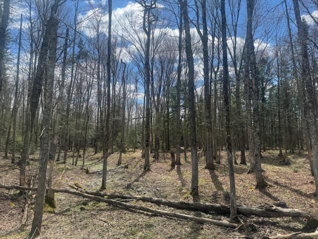 599 Collinsville Road, Craftsbury, VT 05826
