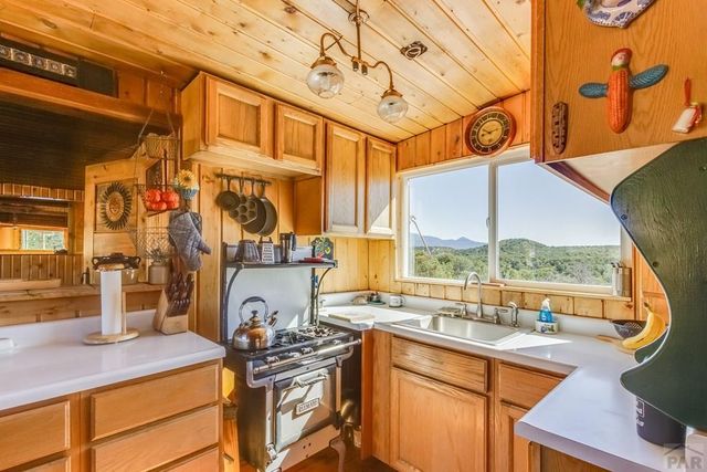 Lot 204 Colorado Land And Grazing Cc, Gardner, CO 81040