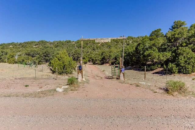 Lot 204 Colorado Land And Grazing Cc, Gardner, CO 81040