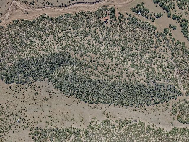 Lot 204 Colorado Land And Grazing Cc, Gardner, CO 81040