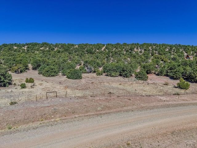 Lot 204 Colorado Land And Grazing Cc, Gardner, CO 81040