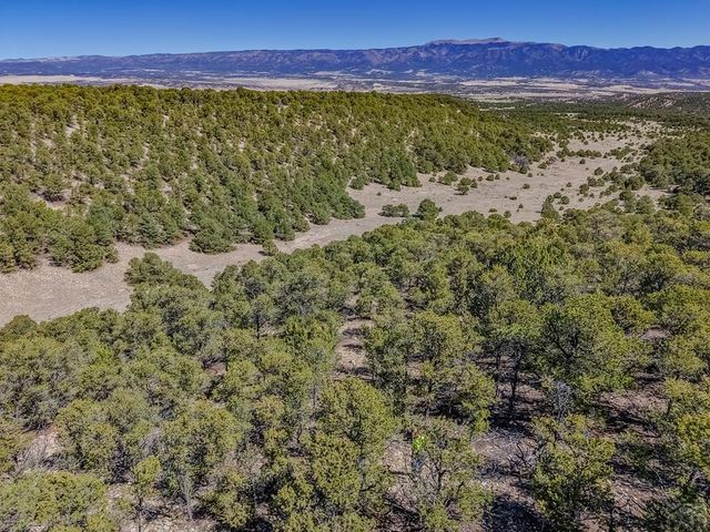 Lot 204 Colorado Land And Grazing Cc, Gardner, CO 81040