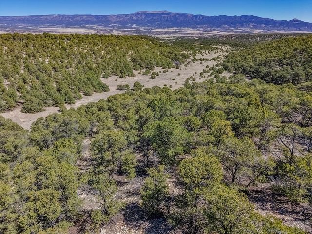 Lot 204 Colorado Land And Grazing Cc, Gardner, CO 81040