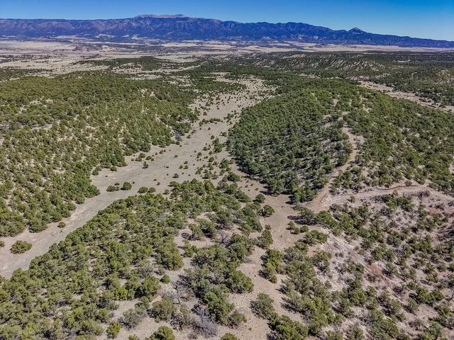 Lot 204 Colorado Land And Grazing Cc, Gardner, CO 81040