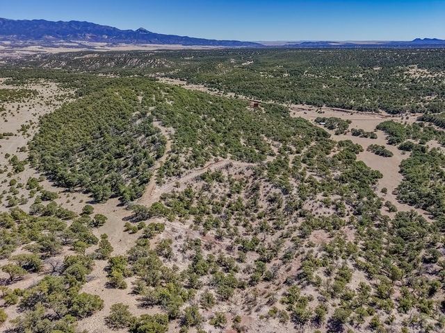 Lot 204 Colorado Land And Grazing Cc, Gardner, CO 81040