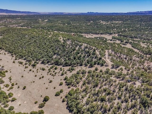 Lot 204 Colorado Land And Grazing Cc, Gardner, CO 81040