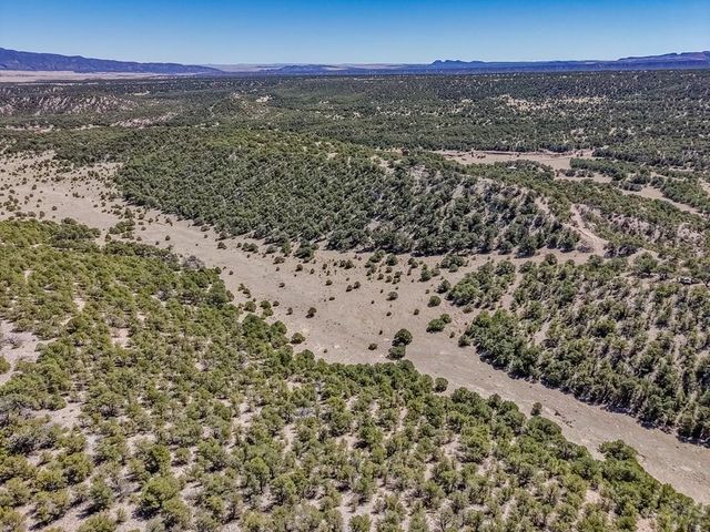 Lot 204 Colorado Land And Grazing Cc, Gardner, CO 81040