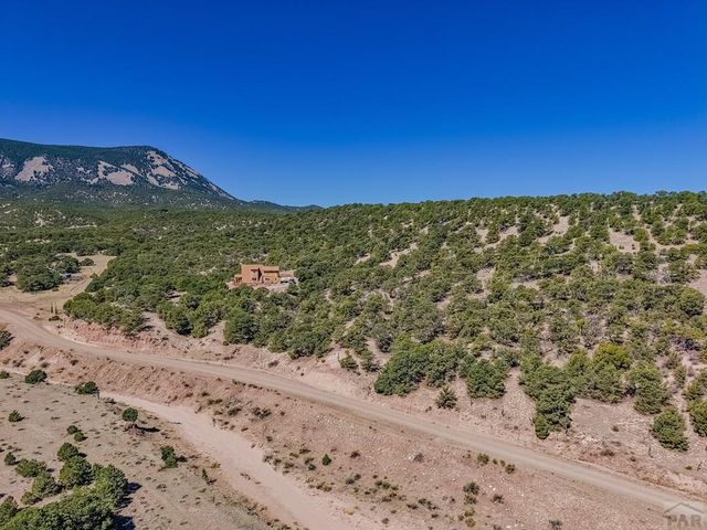 Lot 204 Colorado Land And Grazing Cc, Gardner, CO 81040