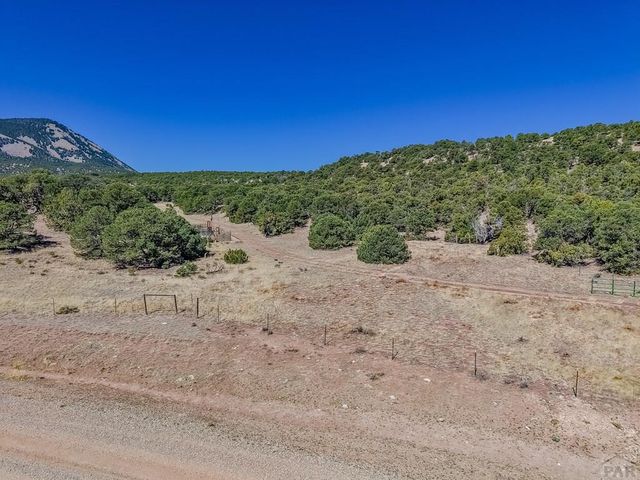 Lot 204 Colorado Land And Grazing Cc, Gardner, CO 81040