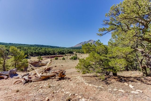 Lot 204 Colorado Land And Grazing Cc, Gardner, CO 81040