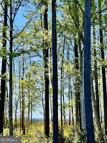 2190 Isles of Saint Marys Way, St. Marys, GA 31558