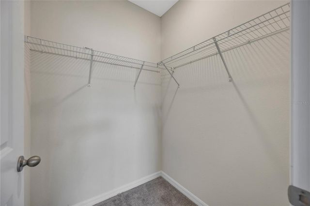 1466 COLT CREEK PLACE, Wesley Chapel, FL 33543