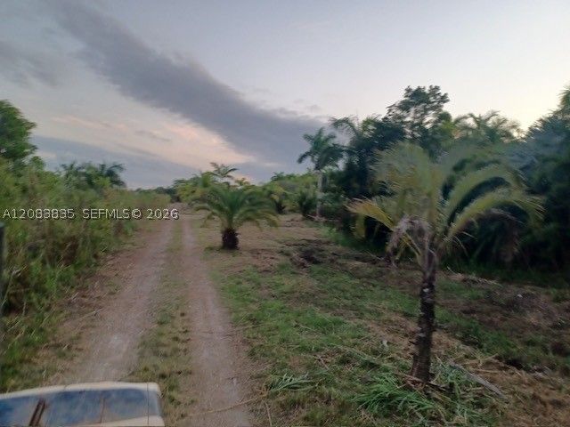 336 st SW 122 ave, Homestead, FL 33035
