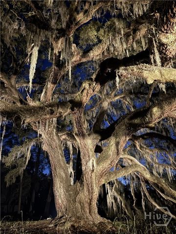 112 Majestic Oaks Drive, Savannah, GA 31406