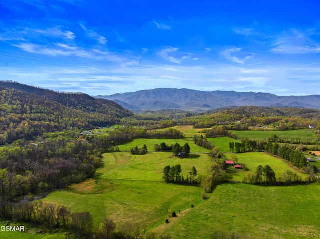 3863 Holders Grove Road, Cosby, TN 37722