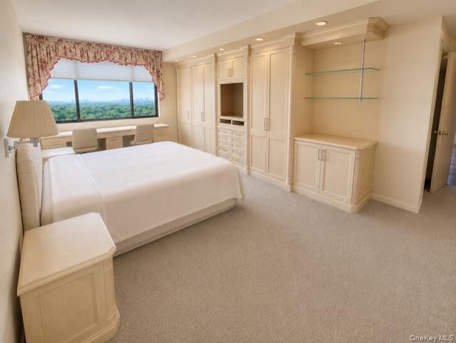 26910 Grand Central Parkway 19O, Floral Park, NY 11005
