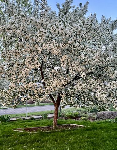 1110 Magnolia Ave, Saint Paul, MN 55106