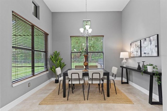 20211 HERITAGE POINT DRIVE, Tampa, FL 33647