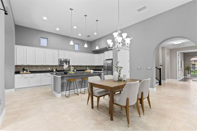 20211 HERITAGE POINT DRIVE, Tampa, FL 33647
