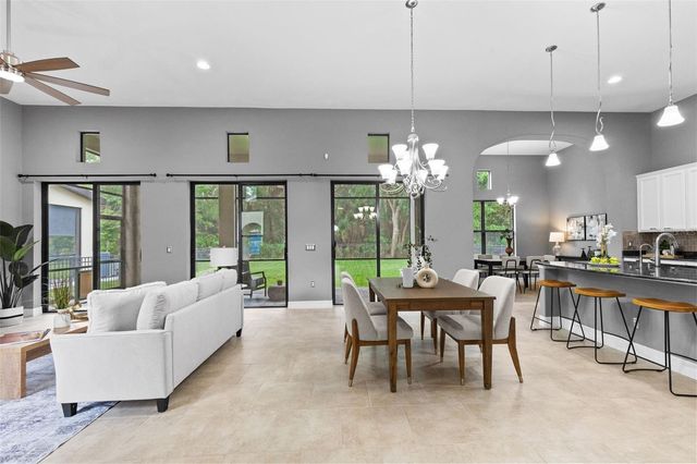 20211 HERITAGE POINT DRIVE, Tampa, FL 33647