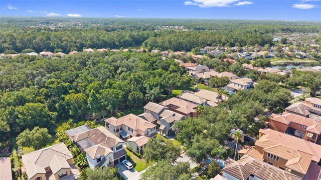 20211 HERITAGE POINT DRIVE, Tampa, FL 33647