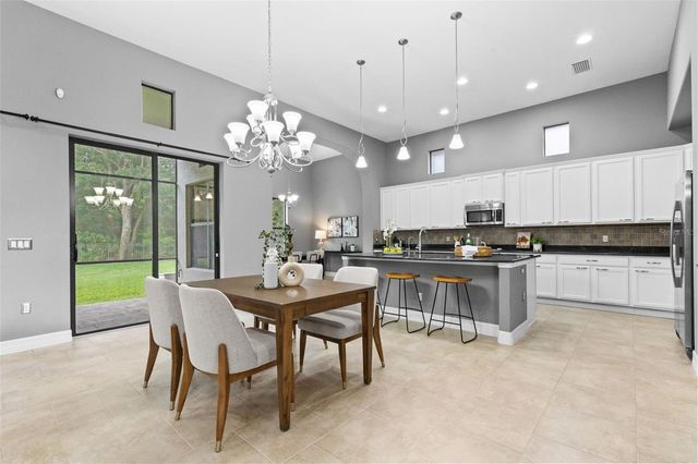 20211 HERITAGE POINT DRIVE, Tampa, FL 33647