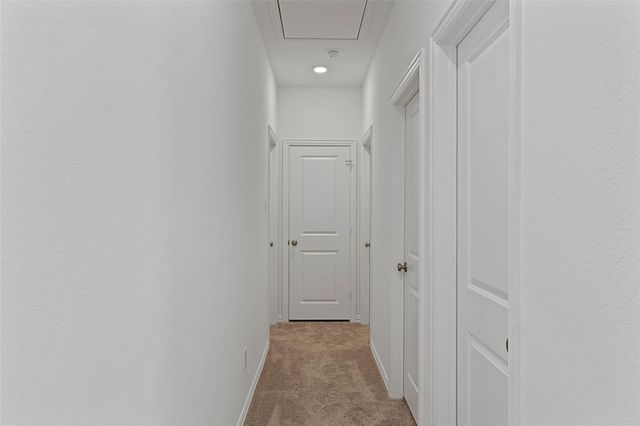 3309 Penn Boulevard, Sachse, TX 75048