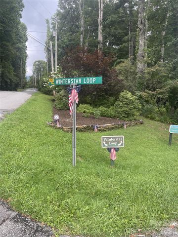 00 Winterstar Loop 17, Burnsville, NC 28714