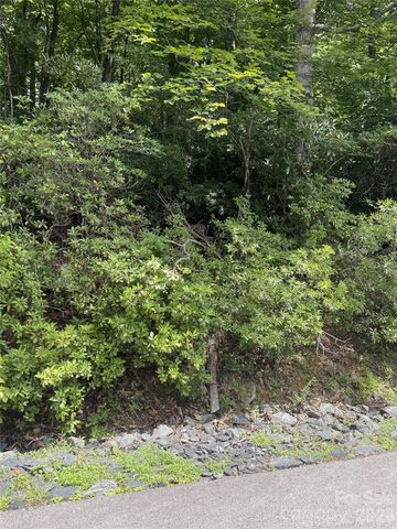00 Winterstar Loop 17, Burnsville, NC 28714