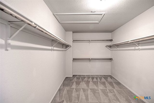 5804 Mosaic Trail, Killeen, TX 76542