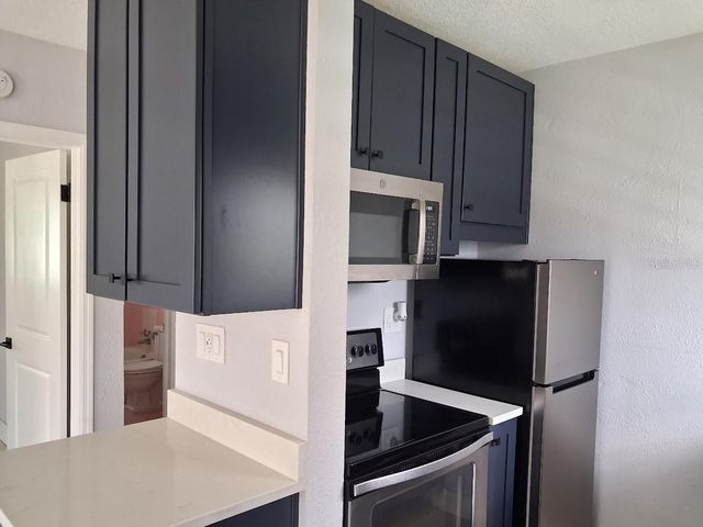 217 BANANA STREET, Tarpon Springs, FL 34689